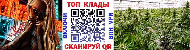 Магазин наркотиков Нефтекамск Метамфетамин Псилоцибиновые грибы Кокаин Мефедрон Alpha PVP