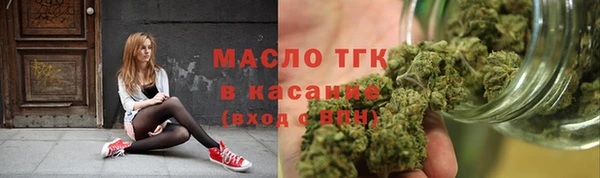 твердый Аркадак