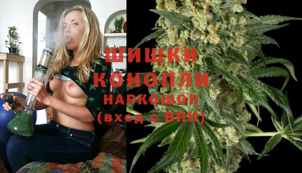 твердый Аркадак