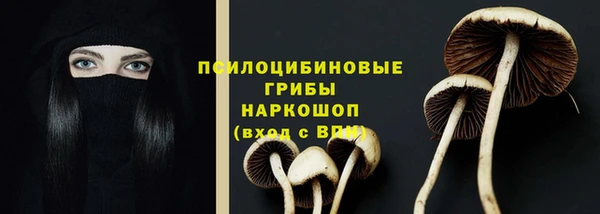 твердый Аркадак
