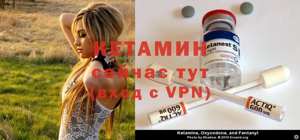 твердый Аркадак
