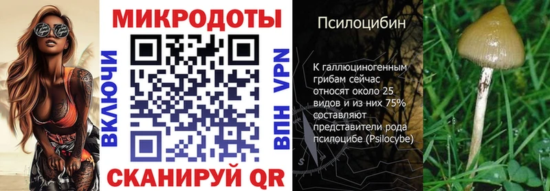 Галлюциногенные грибы Psilocybine cubensis купить наркоту Нефтекамск